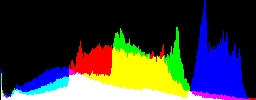 Histogram